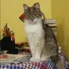 Отзыв от Алена Ракова